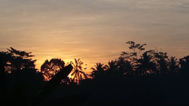 Bali - Zonsondergang regenwoud in ubud