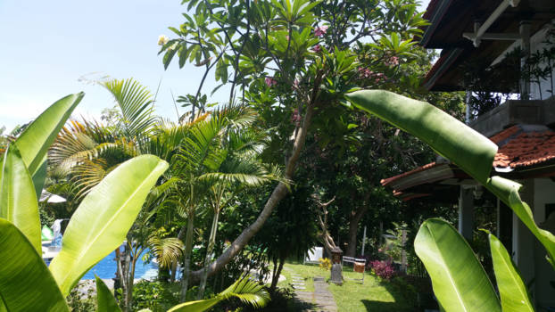 Bali - Sanur hotel wirasana