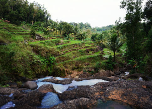 Yogyakarta - Indonesische rijstvelden en een waterval