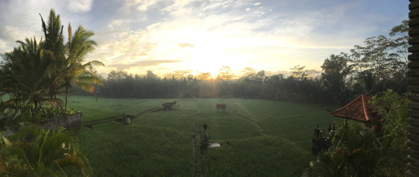 Ubud - Sunrise near Ubud