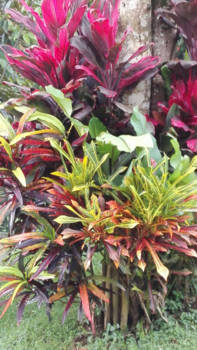 Bali - Natuurschoon op Bali