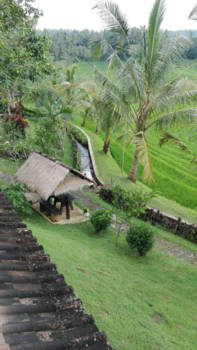 Bali - Natuurschoon op Bali