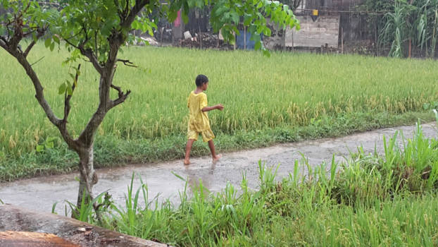 Java - Midden Java - moeson regen