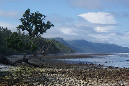 Kei Besar - Ohoiel tijdens eb.