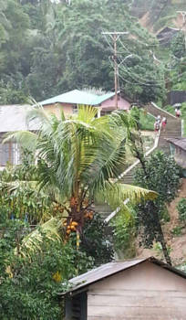 Molukken - "Schoolgaande kinderen in een groene dorp in de bergen"