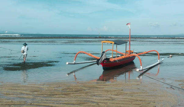 Sanur - Not a 9-5 job