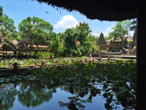 Rondreis Bali - Ubud