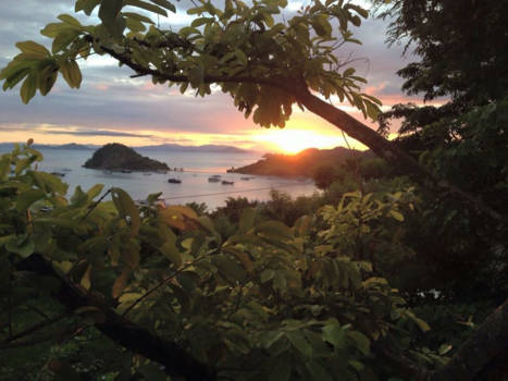 Flores - Mooi Flores