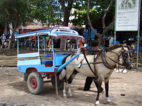 Gili-eilanden - Alles gaat per paard en wagen op de Gili eilanden