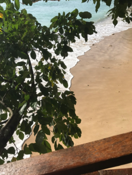 Sumatra - Branding onder boomhut (West-Sumatra, december 2016)