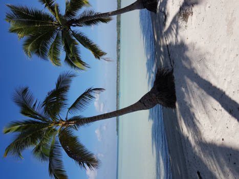 Kei Kecil - Poederwit strand Molukken