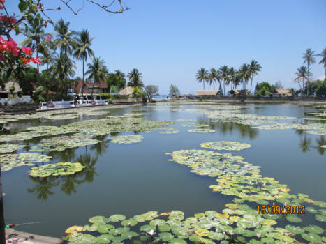 Rondreis Bali, Java & Lombok - Gevarieerd Bali, Strand, rijstvelden, vulcanen, oerwoud, tempels en hartelijkheid