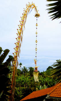 Bali - Penjor for Galungan