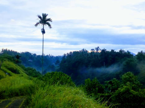 Bali - Camphuan Ridge walk