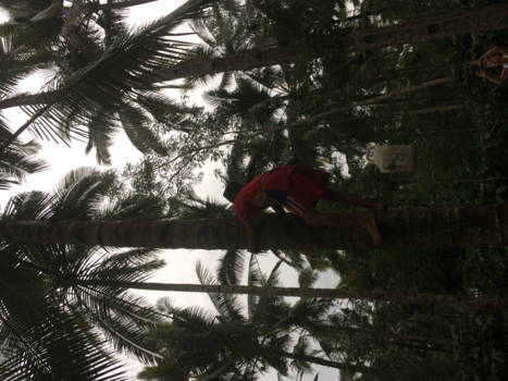 Rondreis Bali & Java - Super