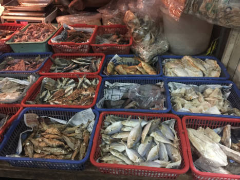 Java - Naar de pasar!