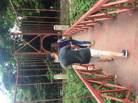 Java - Bogor, botanische tuin.