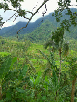 Bali - Mooi uitzicht op Bali