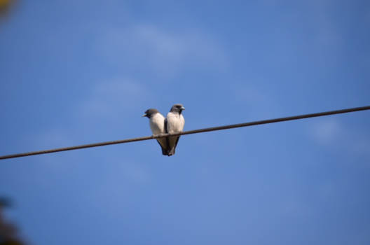 Gili-eilanden - Hoe lief kan het leven zijn ❤️