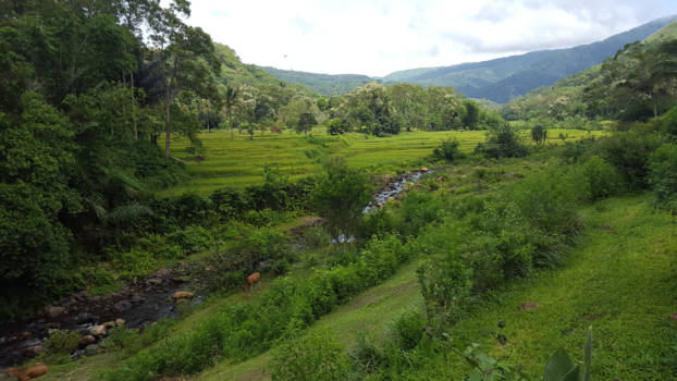 Rondreis Indonesië in vier weken - Natuur in Flores / Kelimutu