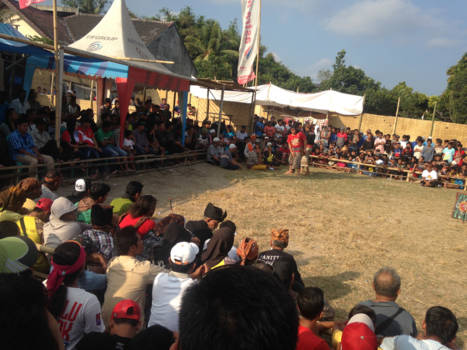 Rondreis Bali & Lombok - Local fights