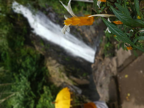 Bali - Hoogste waterval van Bali