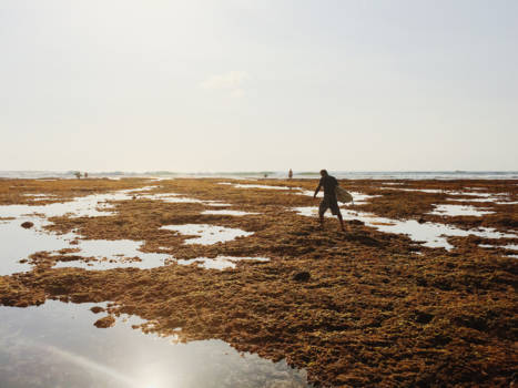 Bali - Onvergetelijke surfsessie met de lokale bevolking :)