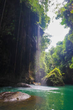 Java - Unspoiled Green Canyon