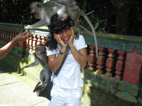 Rondreis Bali & Lombok - Fun time with monkey @Kedaton