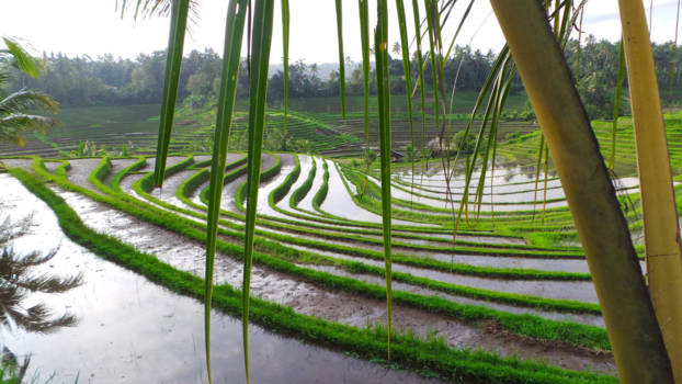 Rondreis Bali - Zo mooi!