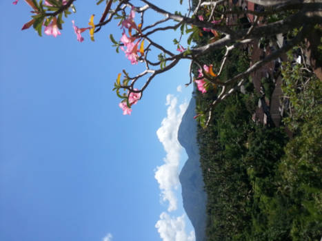 Bali - Bali landschap