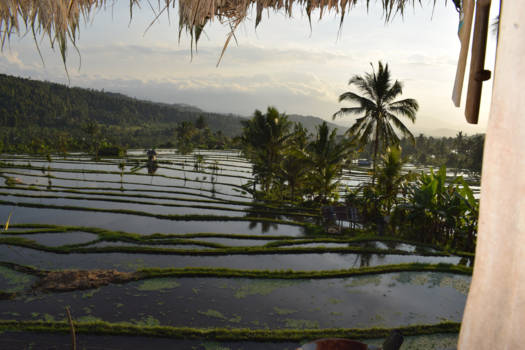 Bali - Het mooie Bali