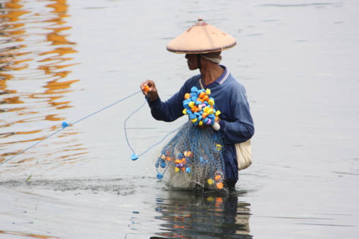 Kleine Soenda-eilanden - Visser