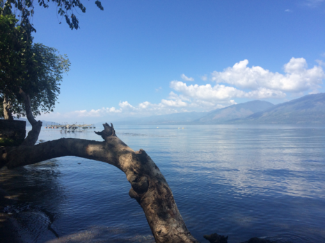 Rondreis Sumatra - Singkarak