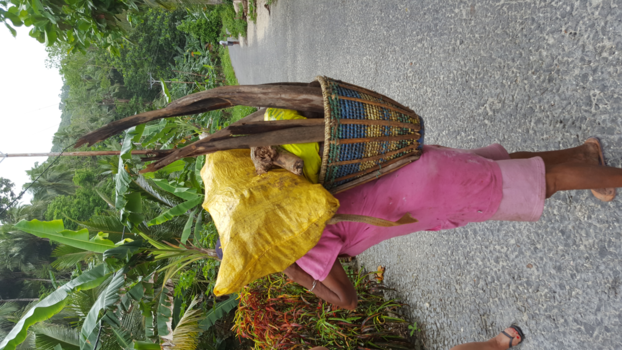 Molukken - Hard werkende weduwe