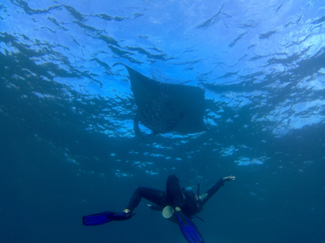 Nusa Lembongan - Duiken met de reuze manta's!