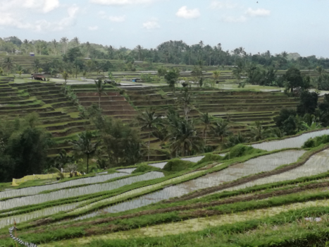 Rondreis Bali & Lombok - Wondermooi