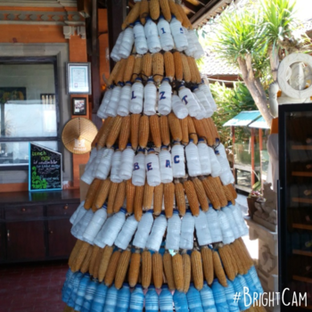 Bali - Susu dan jagung