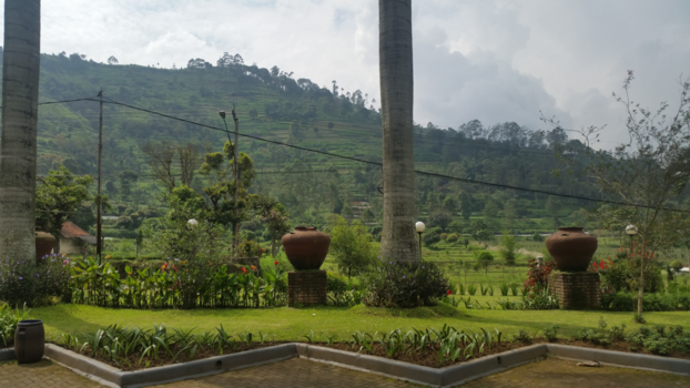 Bali - Voor het onbijt ff een wandeling dan kom je van alles tegen  zelfs de wilde apen