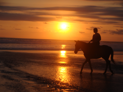 Bali - Bali,enjoying a the most beautiful sunsets i've ever seen
