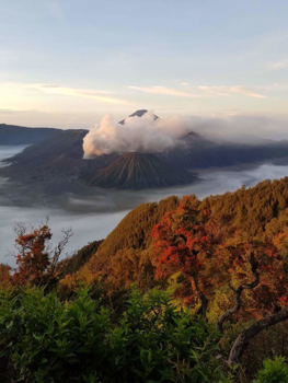 Rondreis Bali & Java - Bromovulkaan
