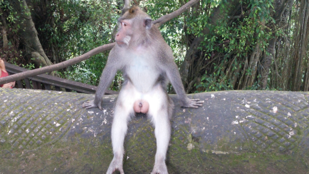 Bali - Mensen kijken is best opwindend