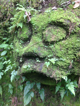 Rondreis Indonesië in vier weken - Green man