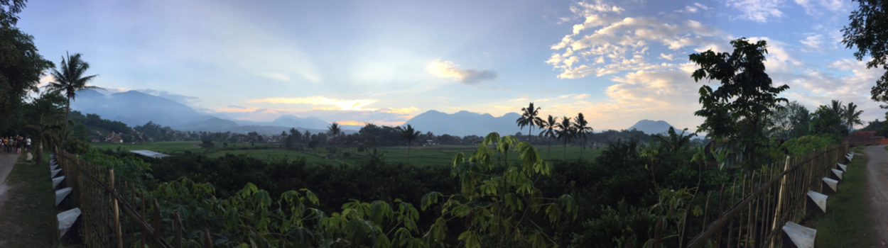 Java - Panorama van de Rijstvelden in Garut