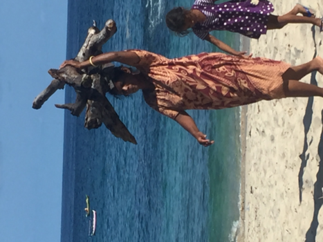 Flores - Hout verzamelen op coca beach flores