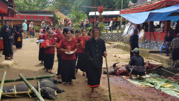 Tana Toraja - Het leven en de dode - Tradities van de Toraja bevolking in Sulawesi