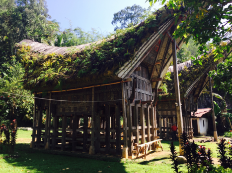 Sulawesi - Torajaland