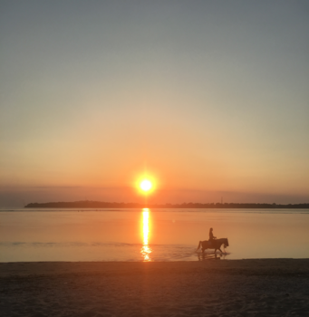 Gili-eilanden - giddy up