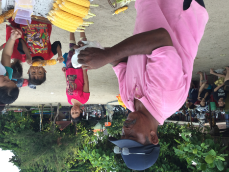 Rondreis Indonesië in vier weken - Java,Bali