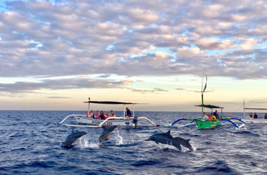 Bali - Dolfina in Lovina